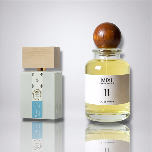 MIXI 11
